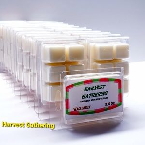HARVEST GATHERING -Bath & Body Works Candle Wax Melts- $8 per pack